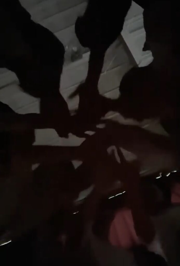 画像に alt 属性が指定されていません。ファイル名: daigaku14-693x1024.jpg