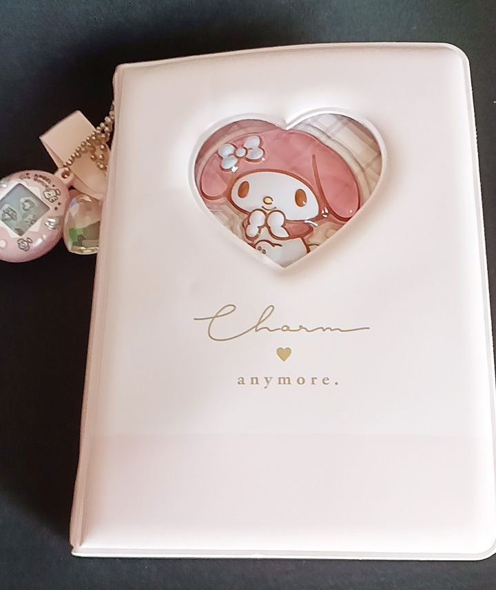 中高生のシール帳の写真