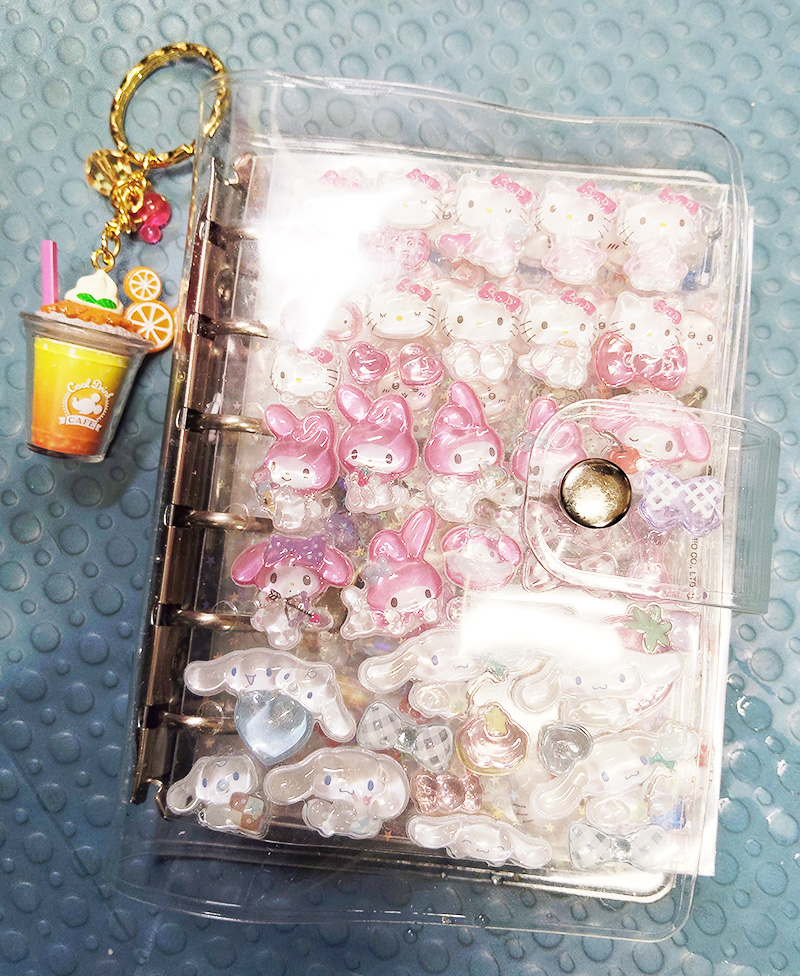 中高生のシール帳の写真