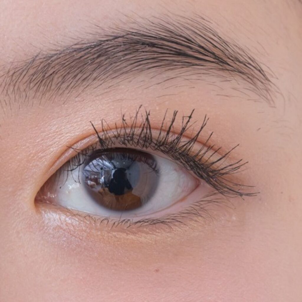 マスカラモデルの仕上がりイメージ