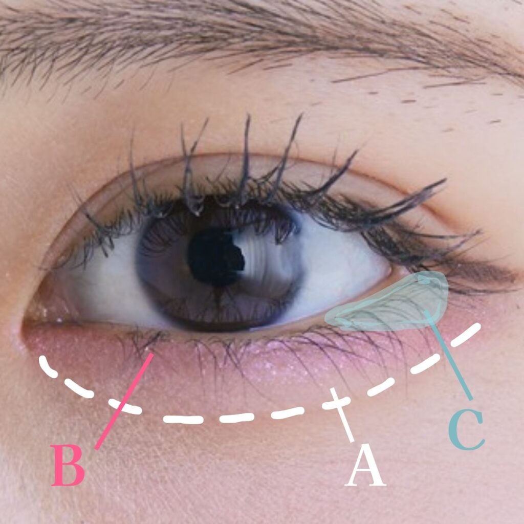 ブルべ　春コスメ