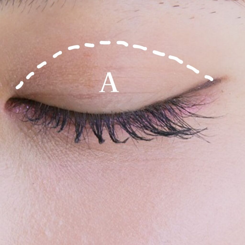 ブルべ　春コスメ