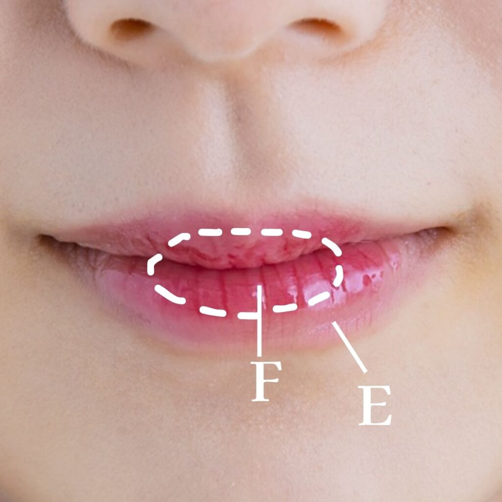 ブルべ　春コスメ