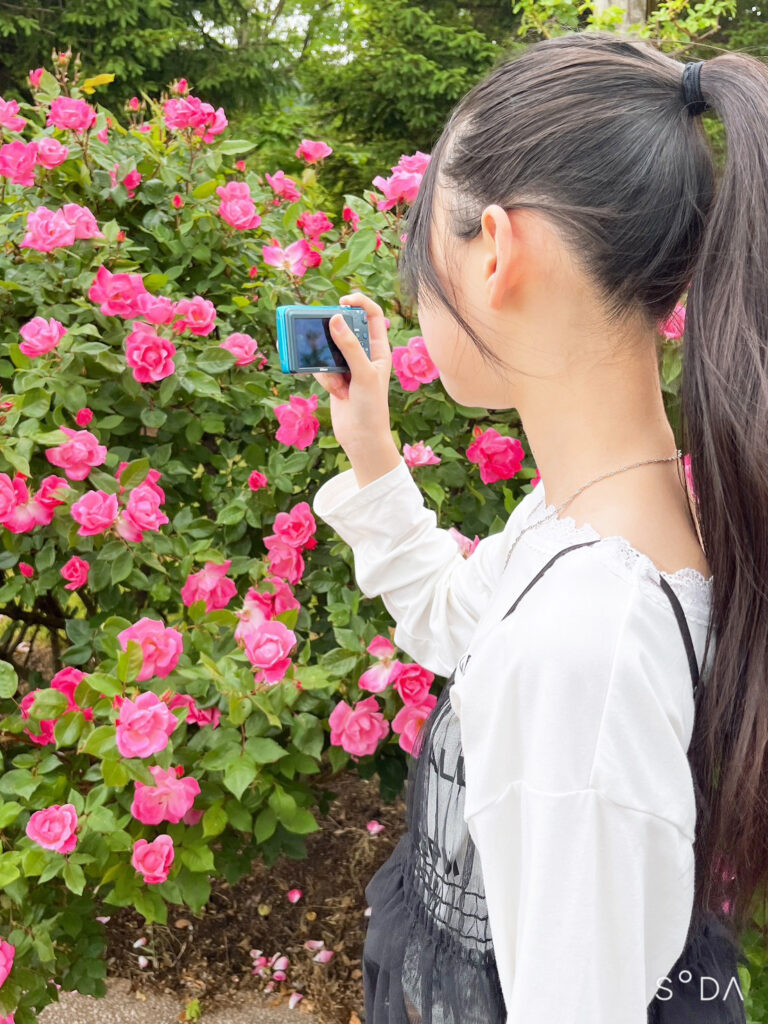 畠桜子